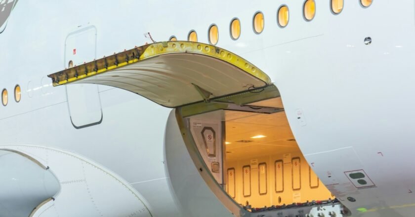 Flying Your Pet from Hong Kong: Cabin, Checked Baggage, or Cargo Options Explained